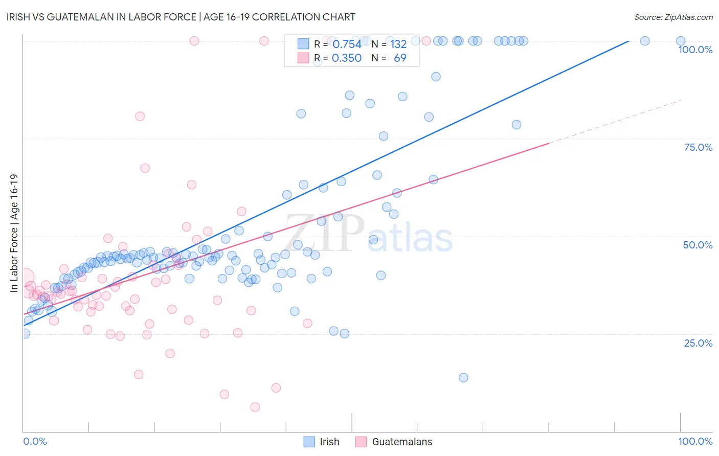 Irish vs Guatemalan In Labor Force | Age 16-19