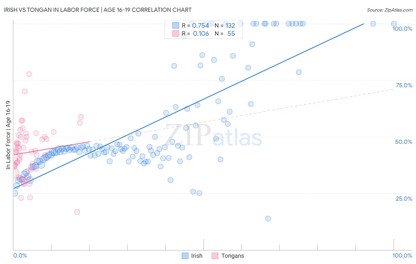 Irish vs Tongan In Labor Force | Age 16-19