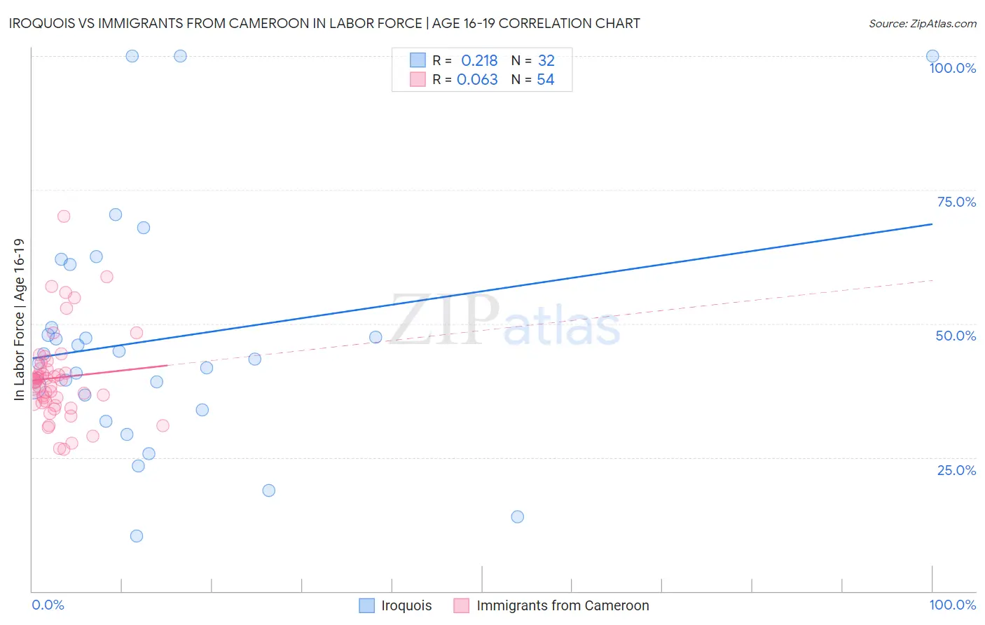 Iroquois vs Immigrants from Cameroon In Labor Force | Age 16-19