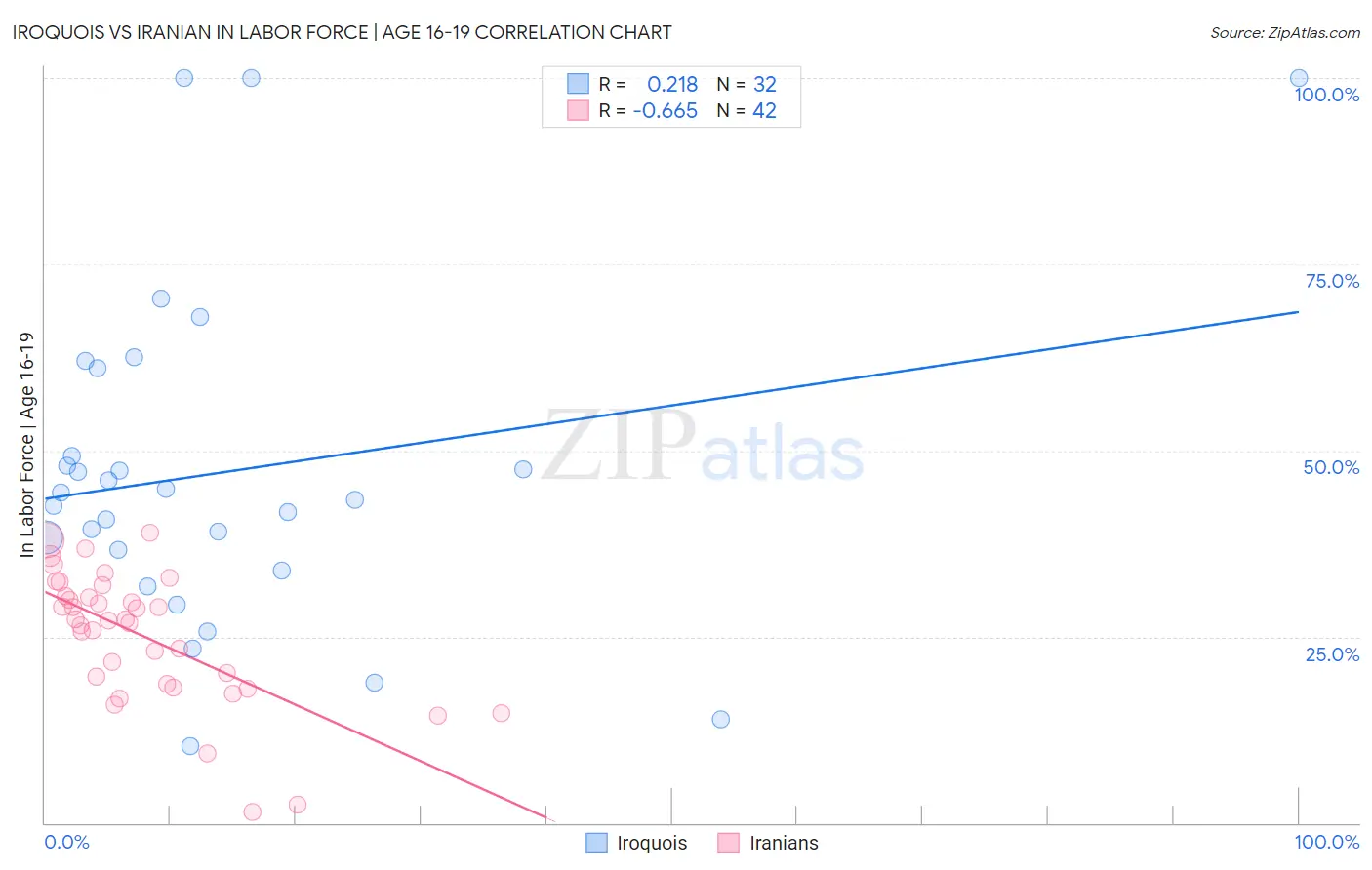 Iroquois vs Iranian In Labor Force | Age 16-19