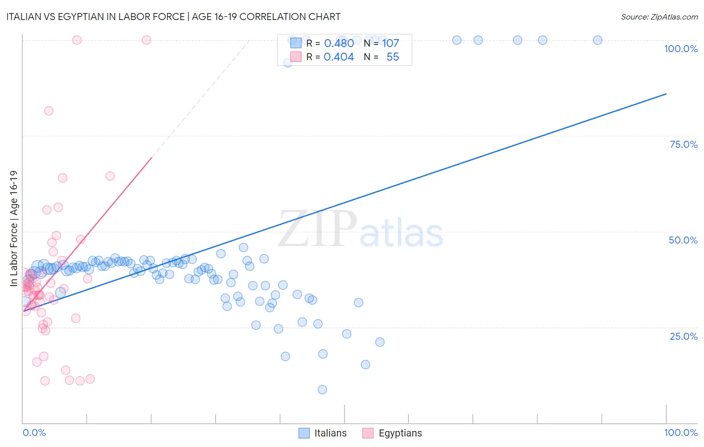 Italian vs Egyptian In Labor Force | Age 16-19