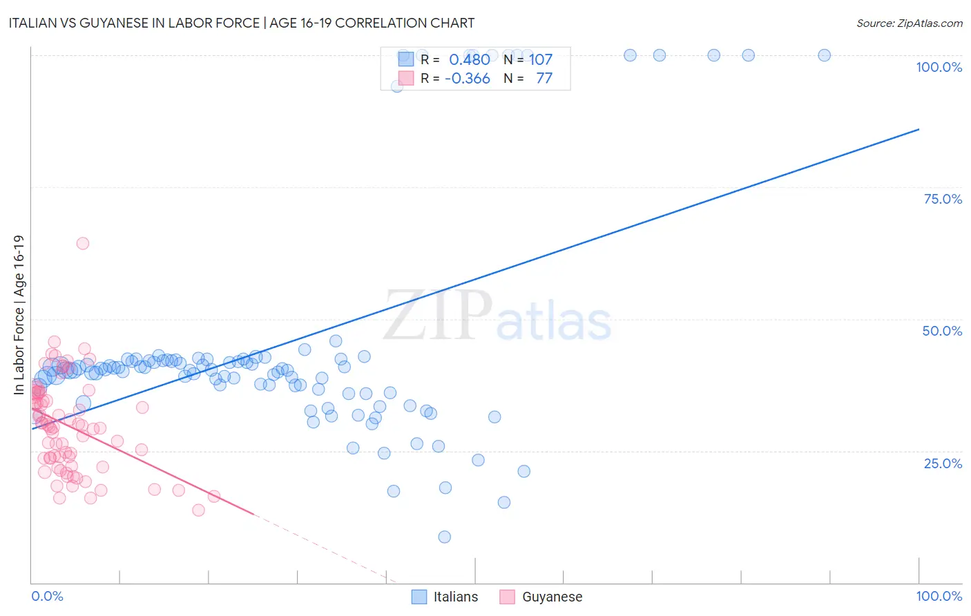Italian vs Guyanese In Labor Force | Age 16-19