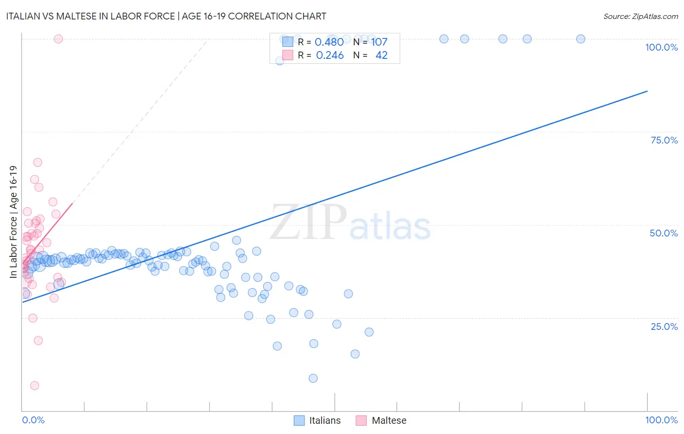 Italian vs Maltese In Labor Force | Age 16-19