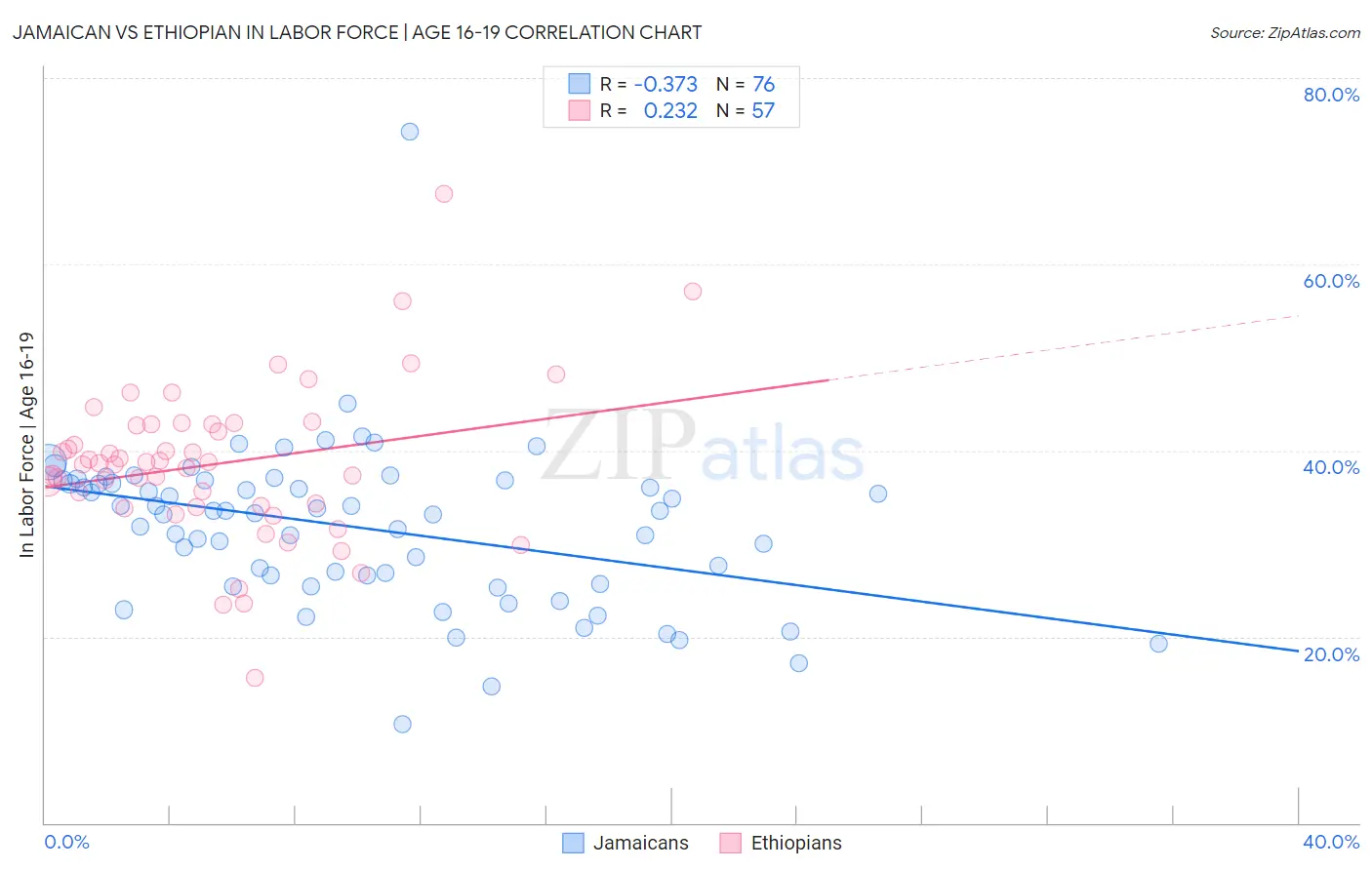 Jamaican vs Ethiopian In Labor Force | Age 16-19