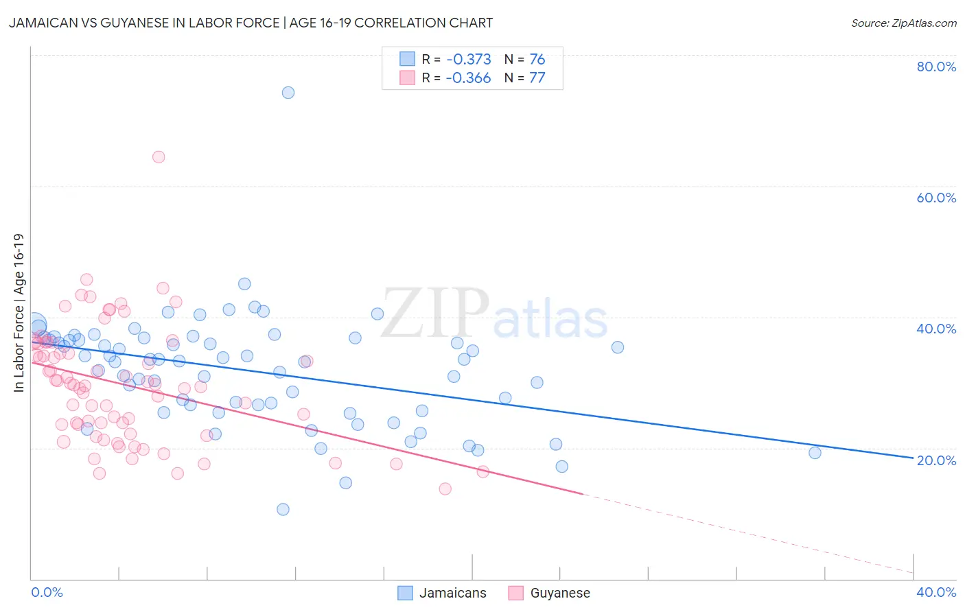Jamaican vs Guyanese In Labor Force | Age 16-19