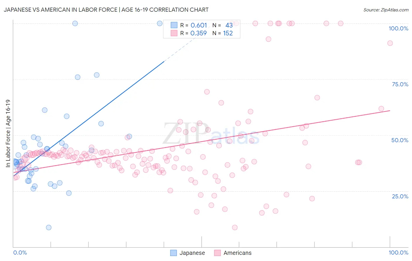 Japanese vs American In Labor Force | Age 16-19