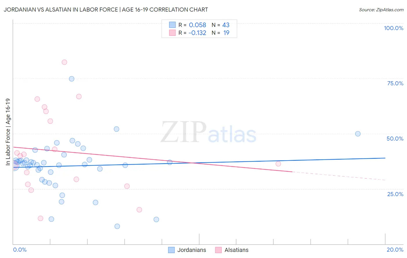 Jordanian vs Alsatian In Labor Force | Age 16-19