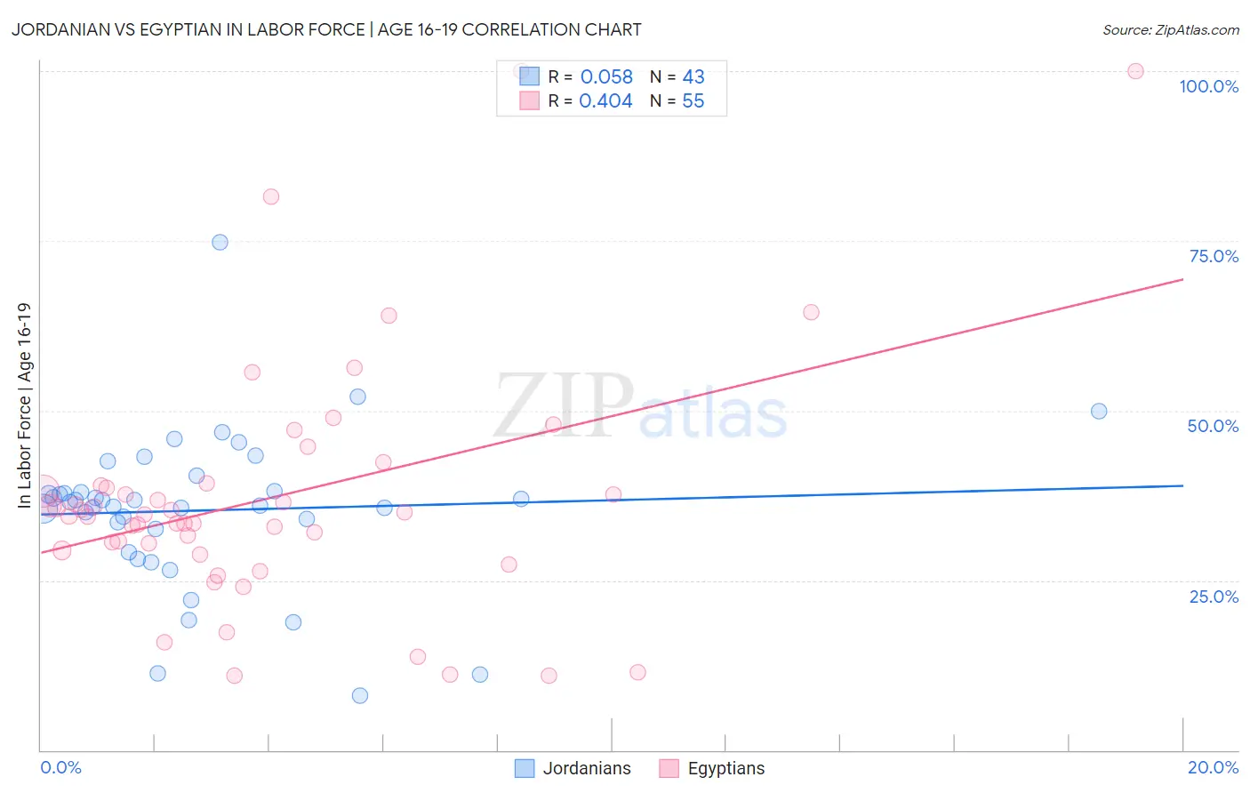 Jordanian vs Egyptian In Labor Force | Age 16-19