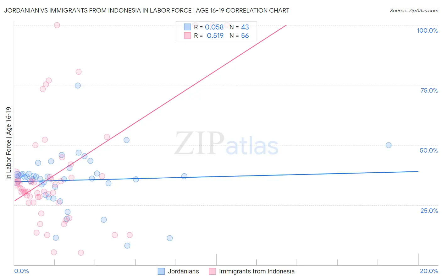 Jordanian vs Immigrants from Indonesia In Labor Force | Age 16-19