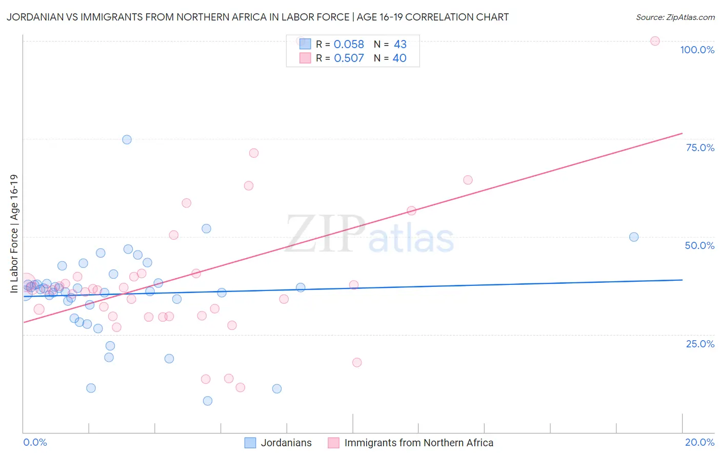 Jordanian vs Immigrants from Northern Africa In Labor Force | Age 16-19