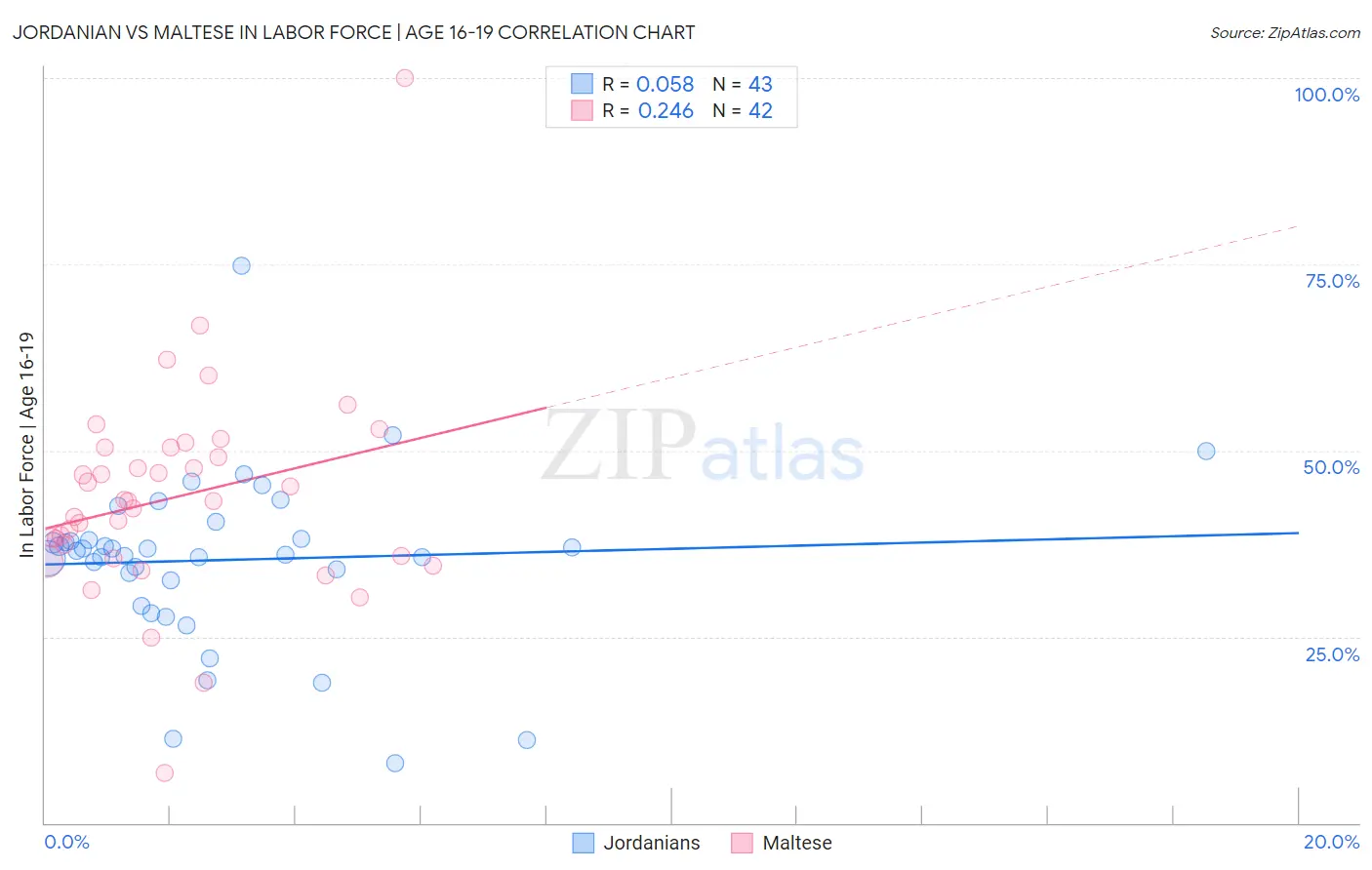 Jordanian vs Maltese In Labor Force | Age 16-19