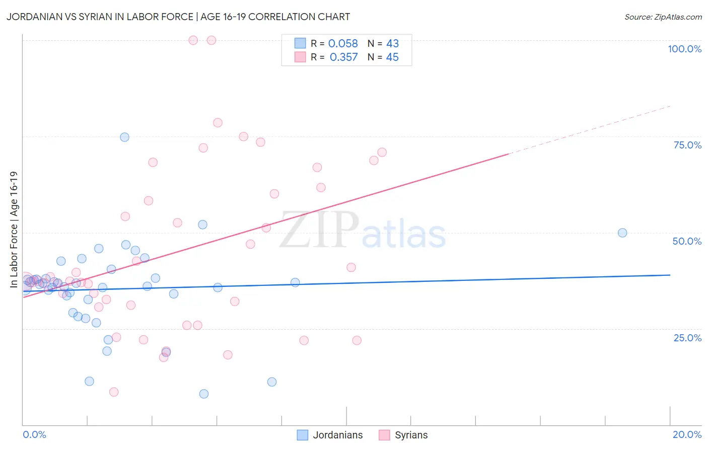 Jordanian vs Syrian In Labor Force | Age 16-19