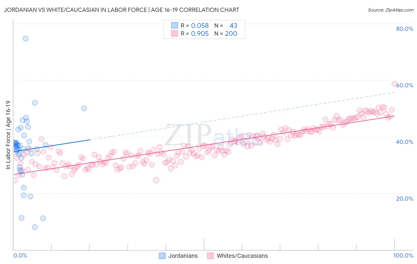 Jordanian vs White/Caucasian In Labor Force | Age 16-19