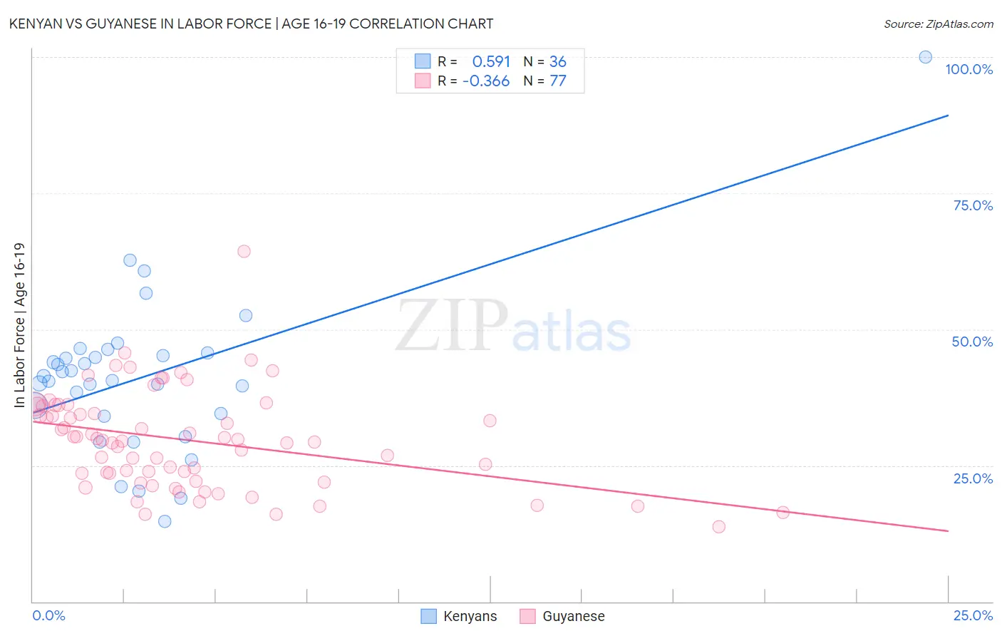 Kenyan vs Guyanese In Labor Force | Age 16-19