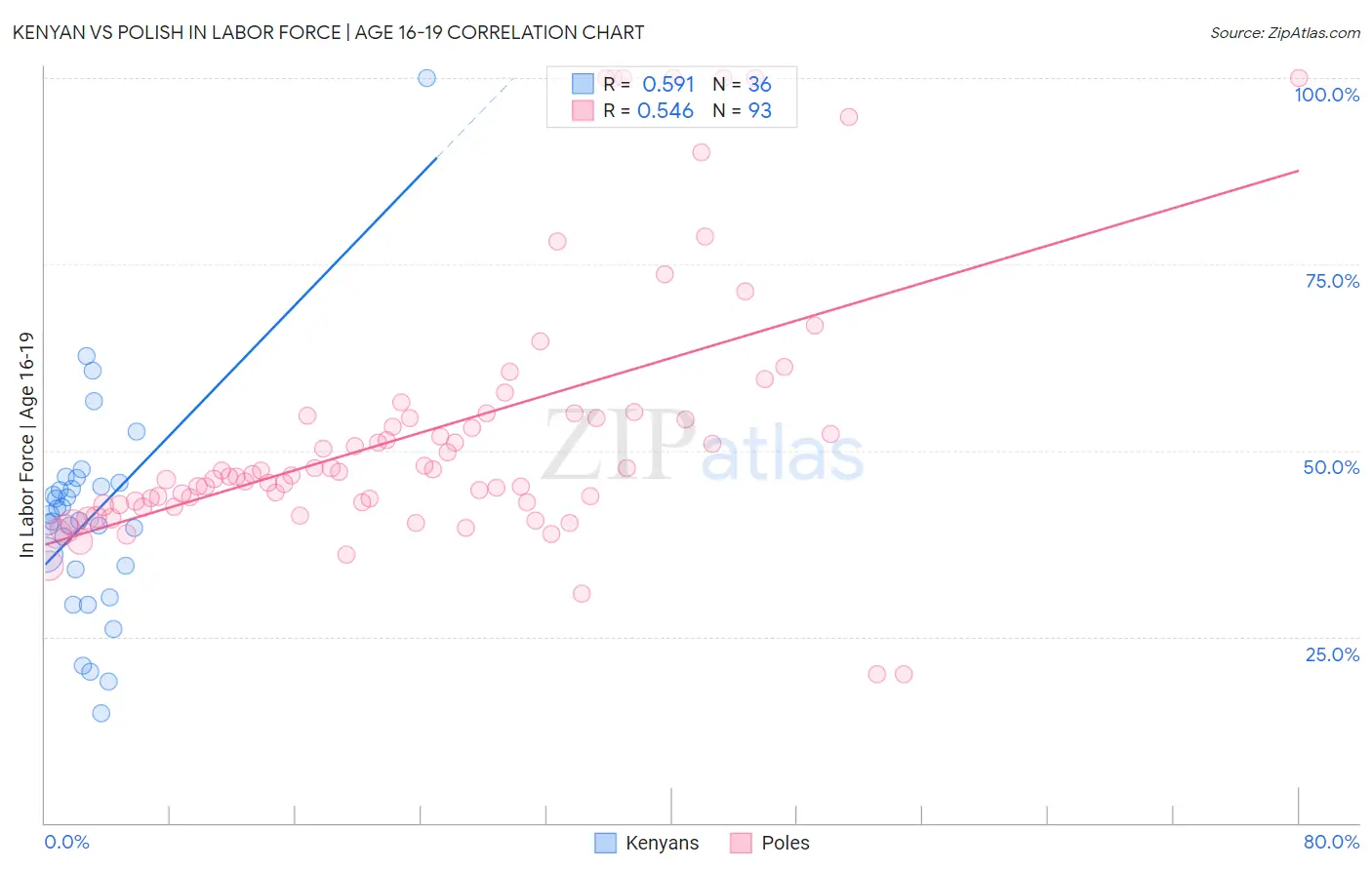 Kenyan vs Polish In Labor Force | Age 16-19