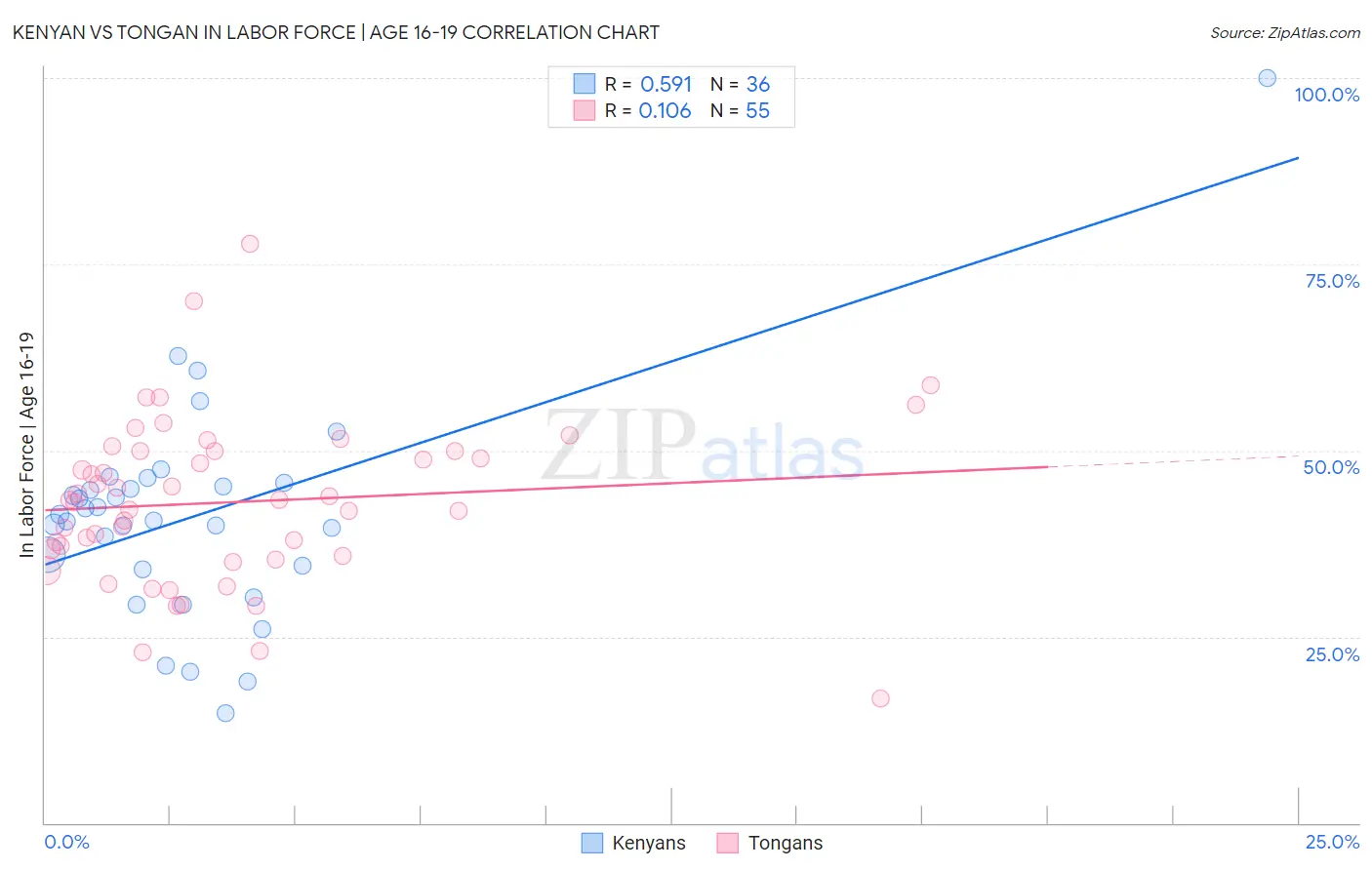 Kenyan vs Tongan In Labor Force | Age 16-19