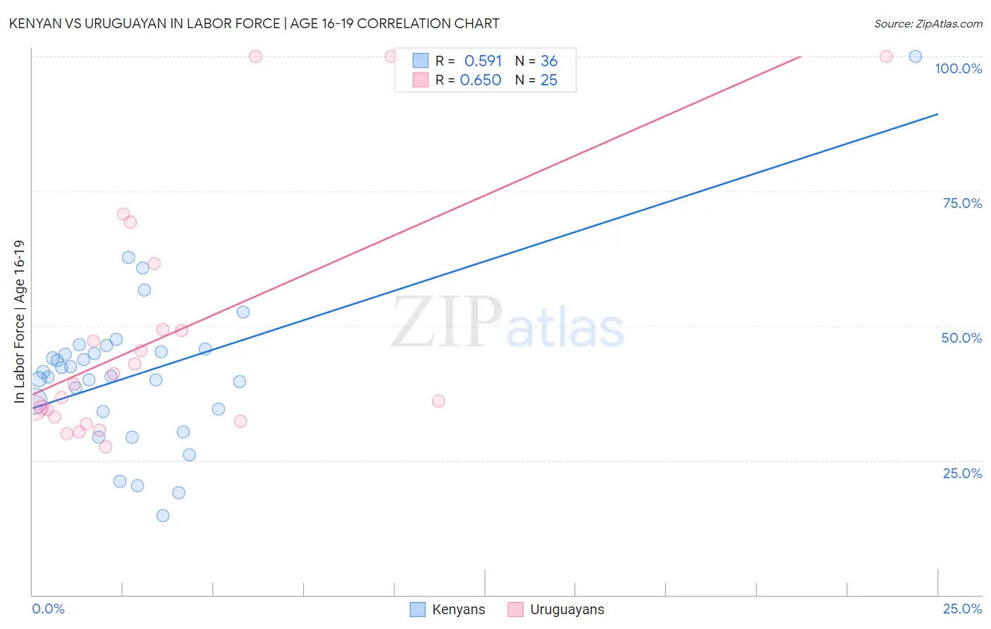 Kenyan vs Uruguayan In Labor Force | Age 16-19