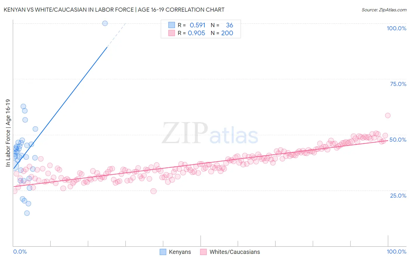 Kenyan vs White/Caucasian In Labor Force | Age 16-19