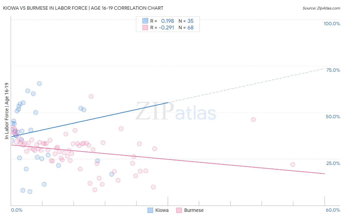 Kiowa vs Burmese In Labor Force | Age 16-19