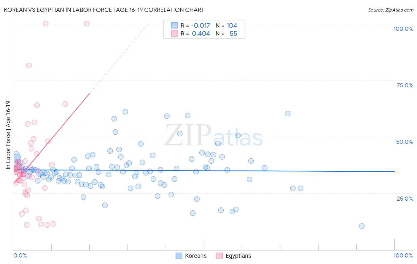 Korean vs Egyptian In Labor Force | Age 16-19