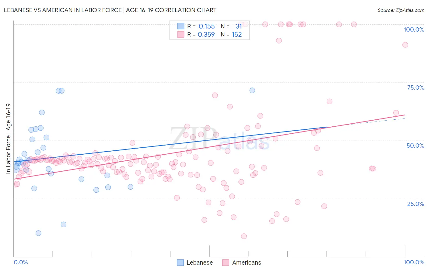 Lebanese vs American In Labor Force | Age 16-19