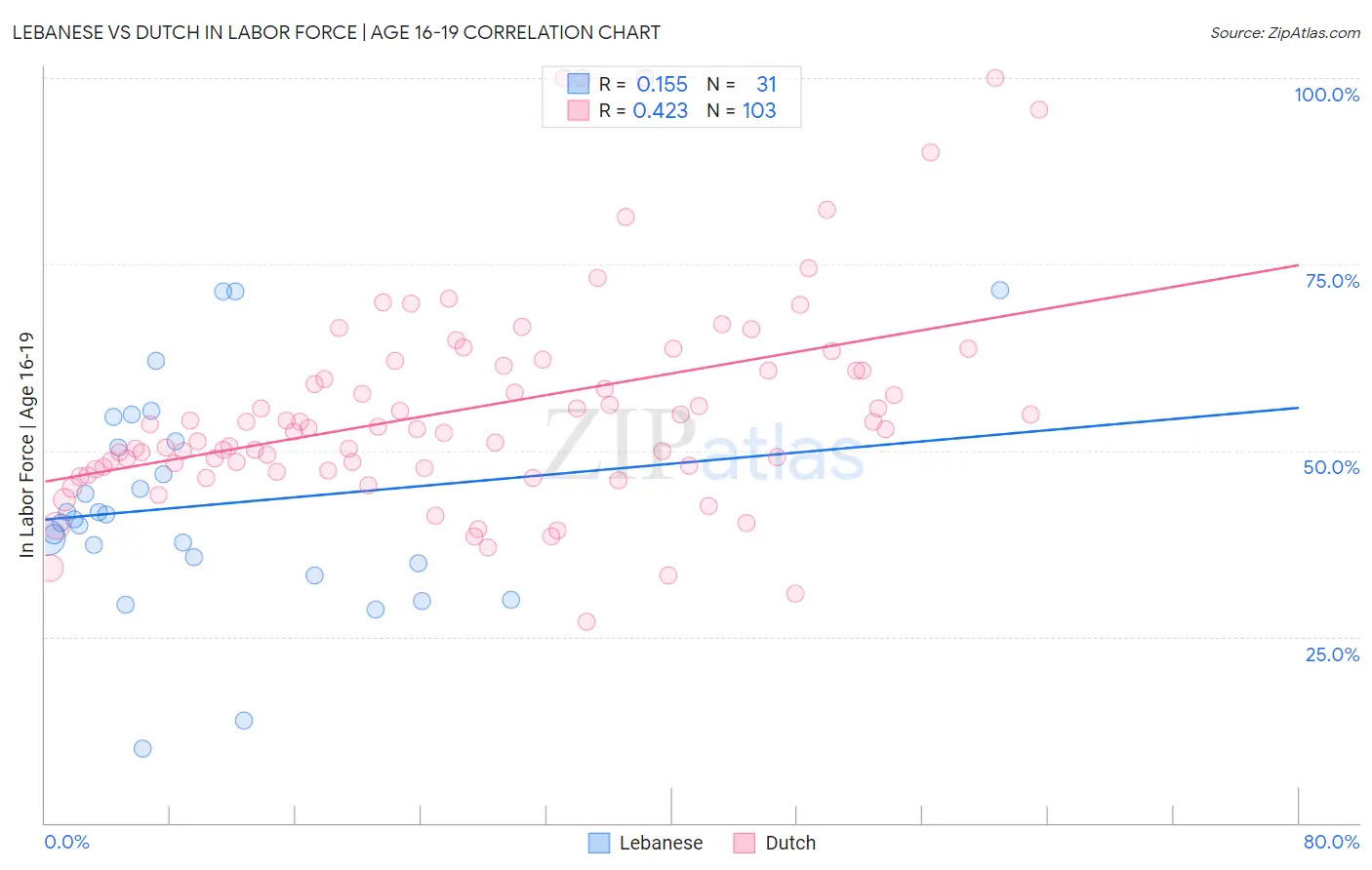 Lebanese vs Dutch In Labor Force | Age 16-19