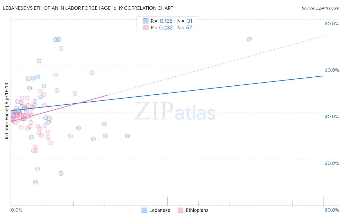 Lebanese vs Ethiopian In Labor Force | Age 16-19