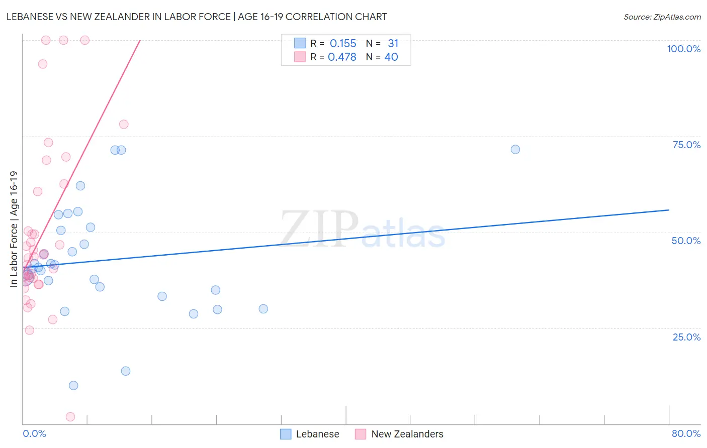 Lebanese vs New Zealander In Labor Force | Age 16-19