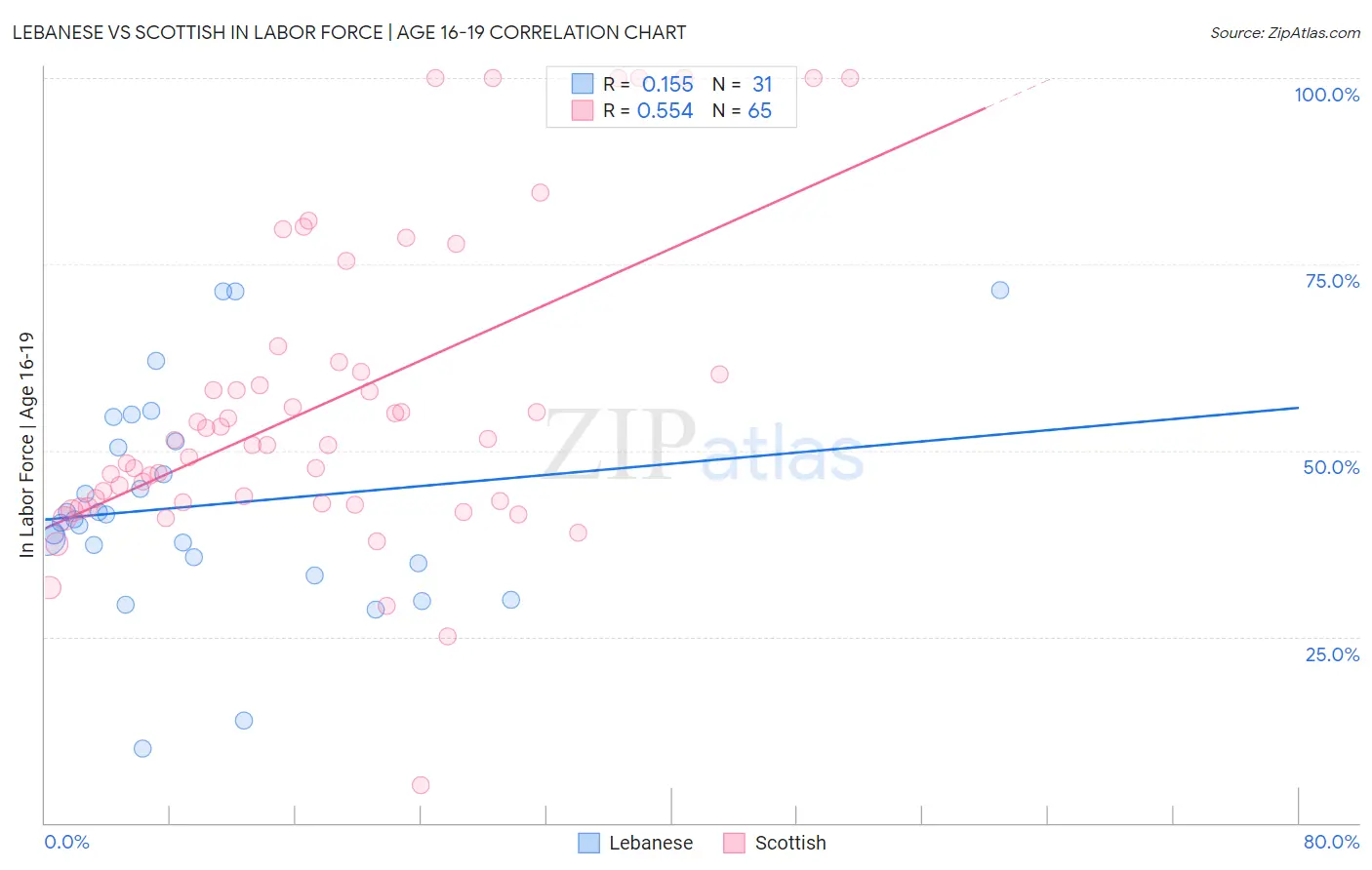 Lebanese vs Scottish In Labor Force | Age 16-19