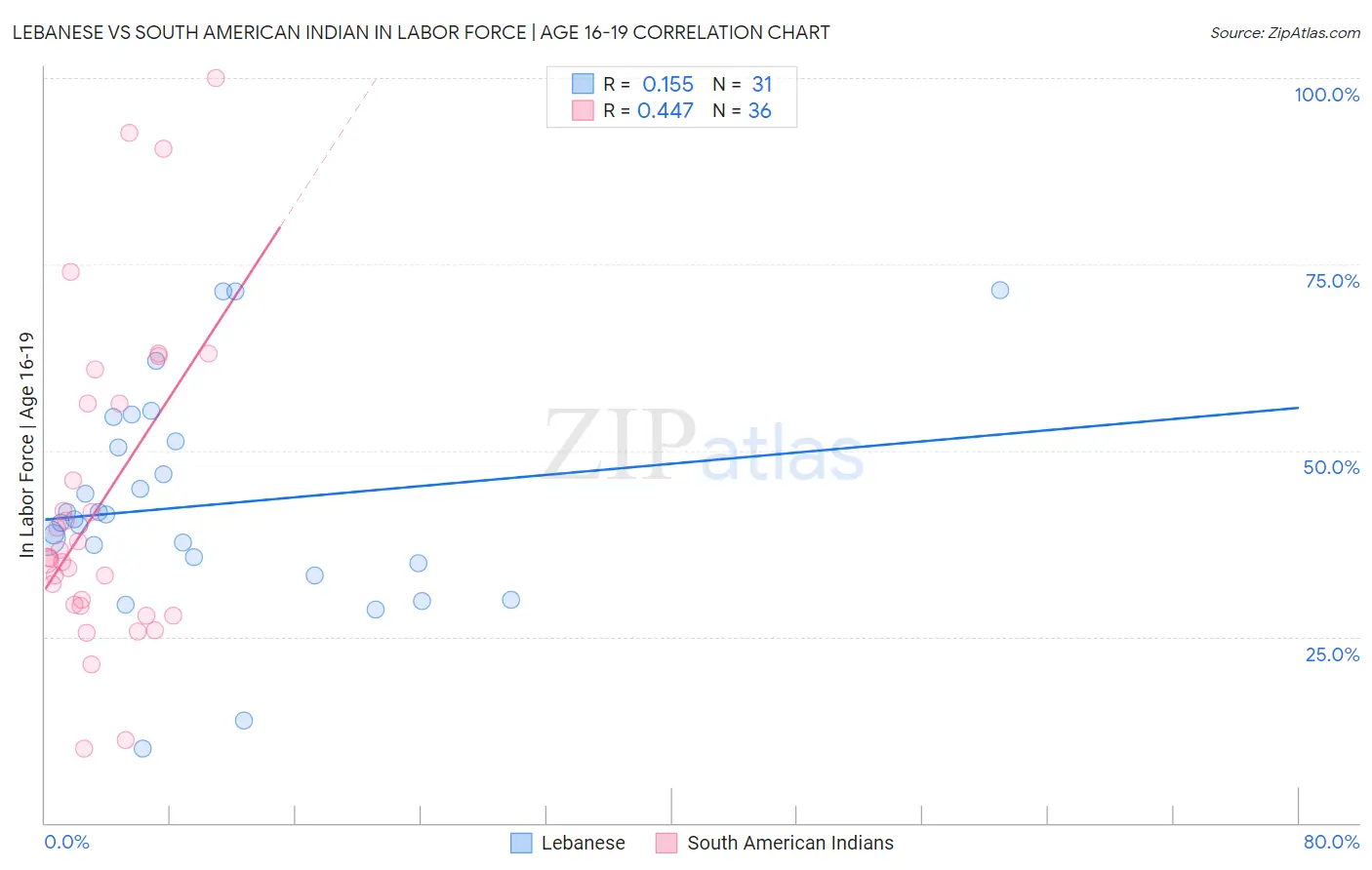 Lebanese vs South American Indian In Labor Force | Age 16-19