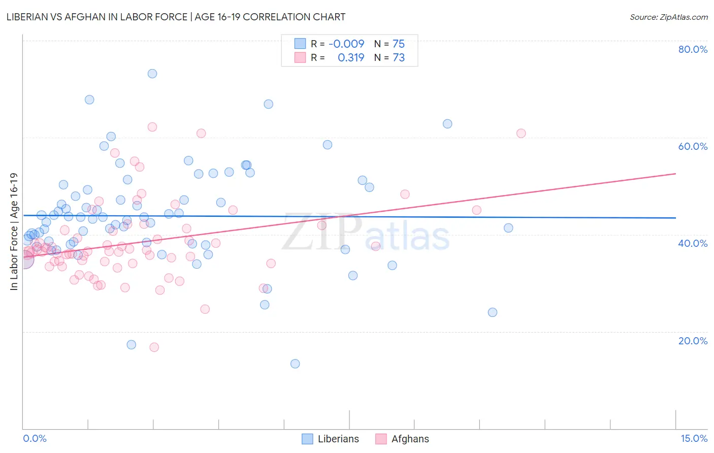 Liberian vs Afghan In Labor Force | Age 16-19