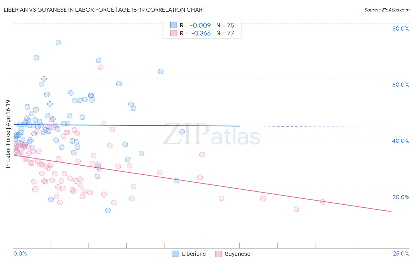 Liberian vs Guyanese In Labor Force | Age 16-19