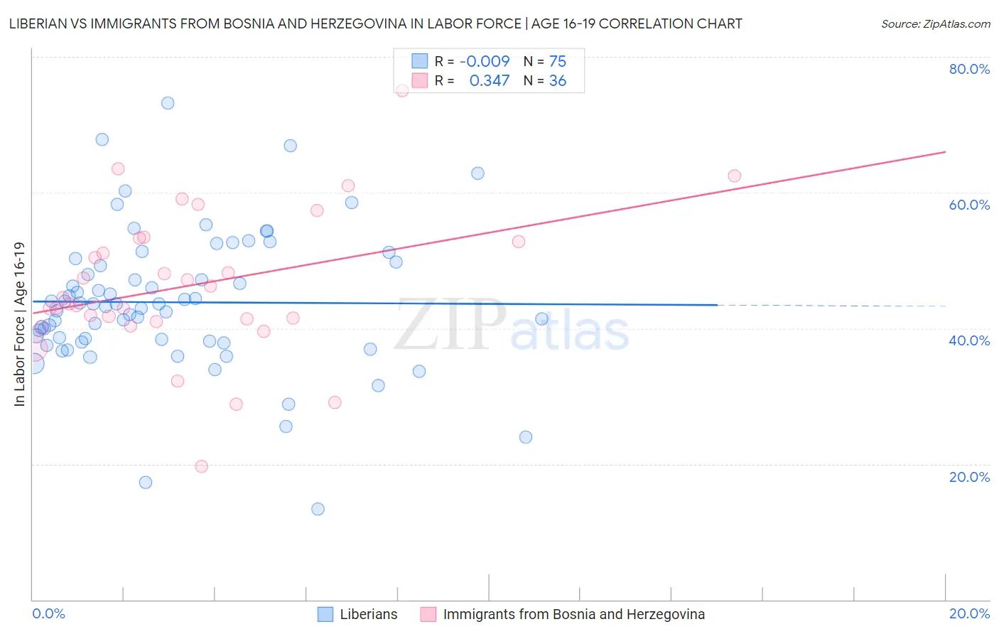 Liberian vs Immigrants from Bosnia and Herzegovina In Labor Force | Age 16-19