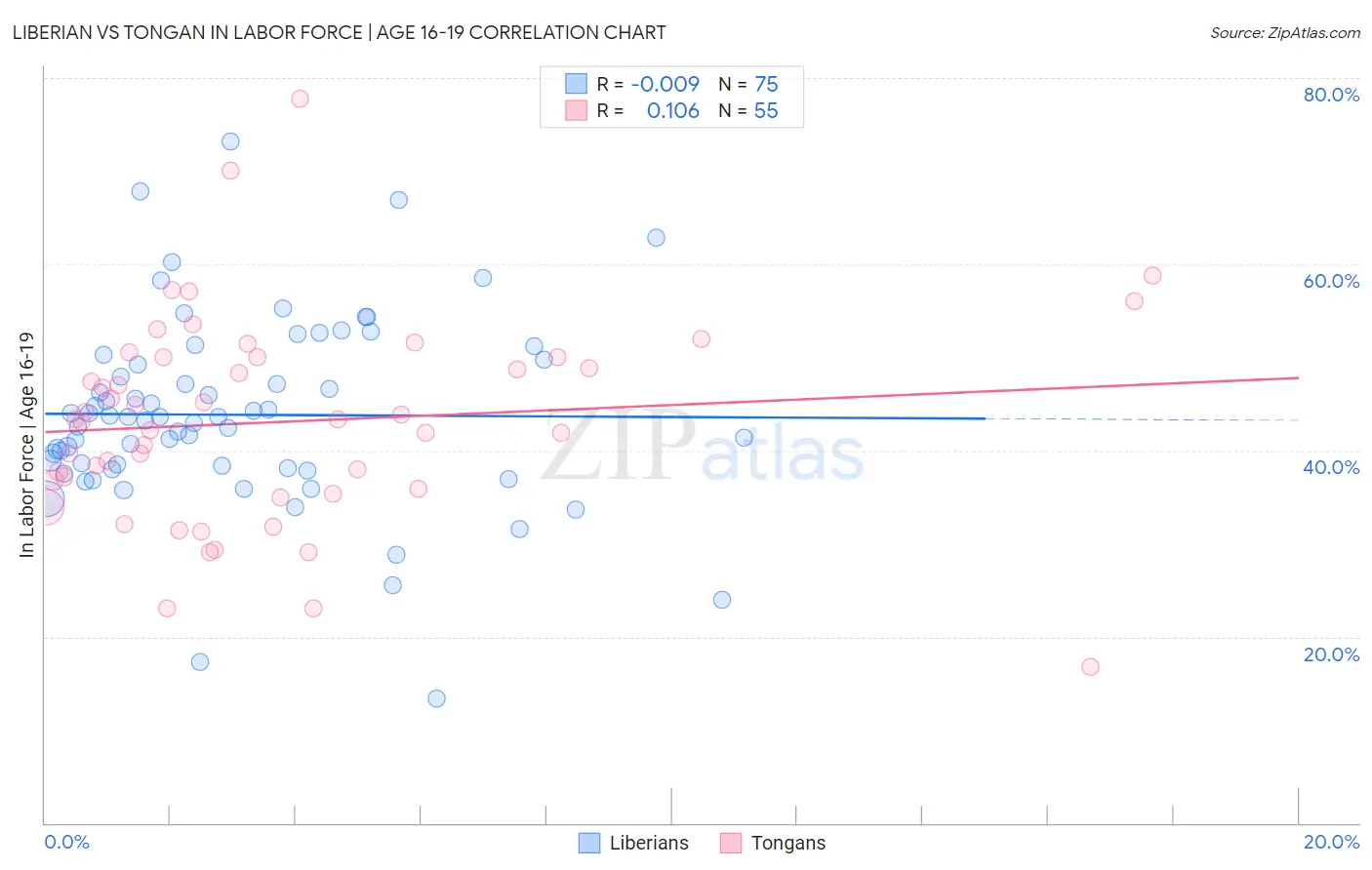 Liberian vs Tongan In Labor Force | Age 16-19