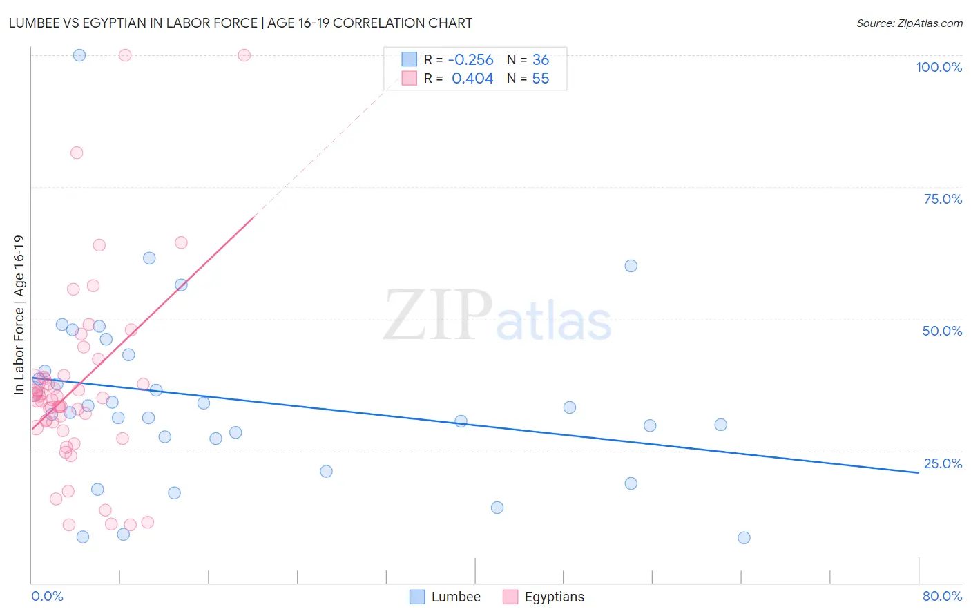 Lumbee vs Egyptian In Labor Force | Age 16-19