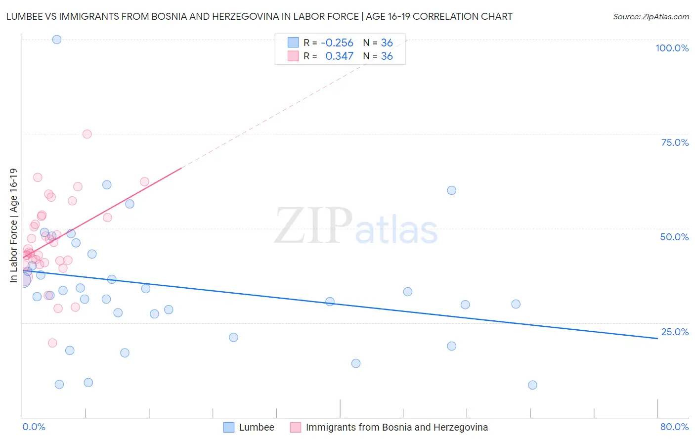 Lumbee vs Immigrants from Bosnia and Herzegovina In Labor Force | Age 16-19