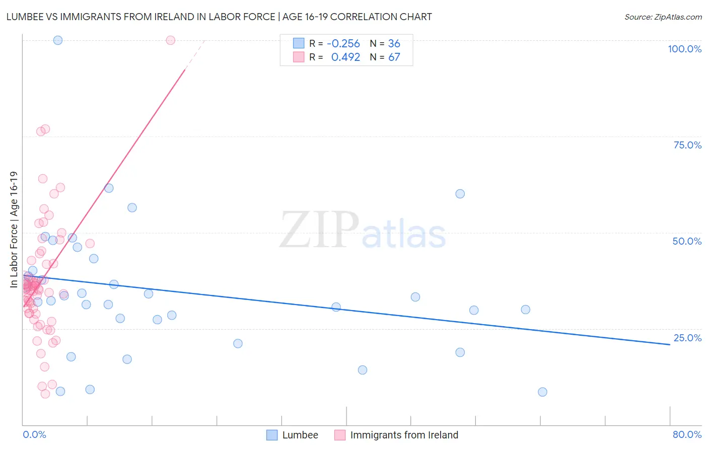 Lumbee vs Immigrants from Ireland In Labor Force | Age 16-19