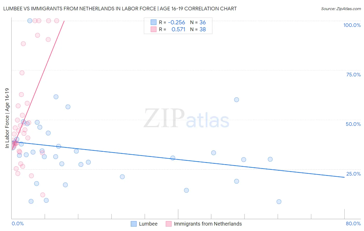 Lumbee vs Immigrants from Netherlands In Labor Force | Age 16-19