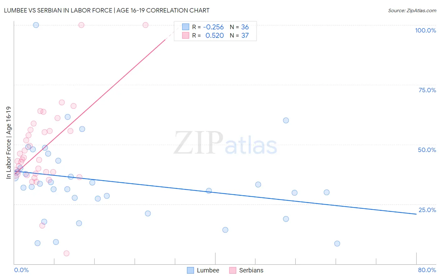 Lumbee vs Serbian In Labor Force | Age 16-19