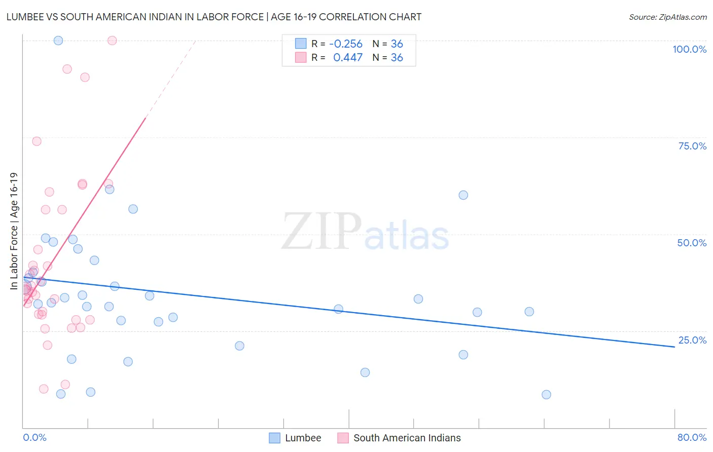 Lumbee vs South American Indian In Labor Force | Age 16-19