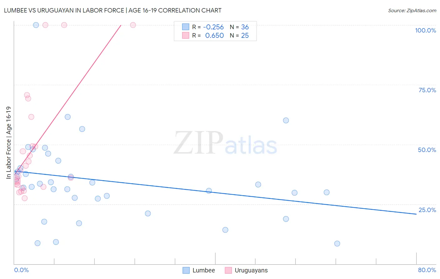 Lumbee vs Uruguayan In Labor Force | Age 16-19