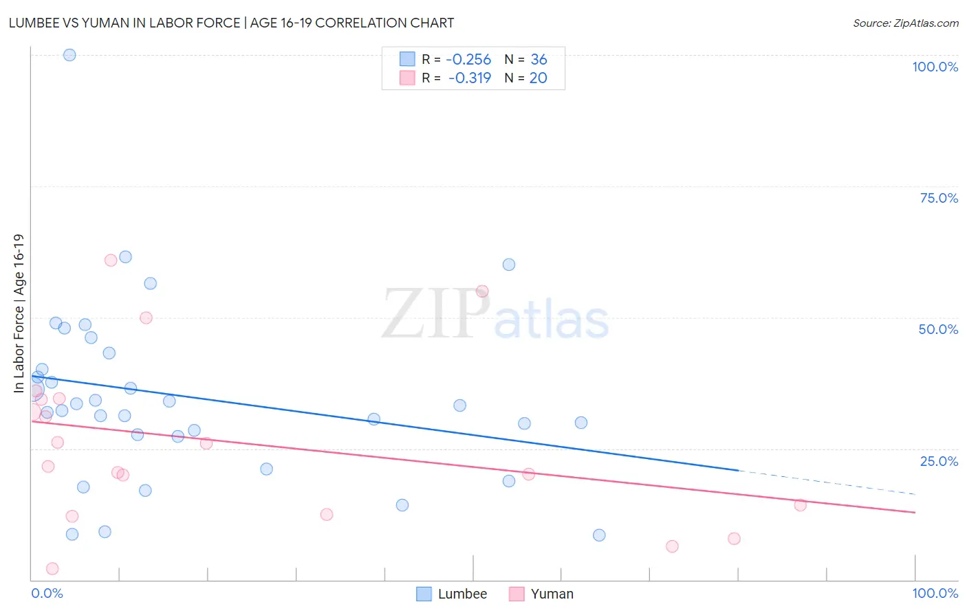 Lumbee vs Yuman In Labor Force | Age 16-19