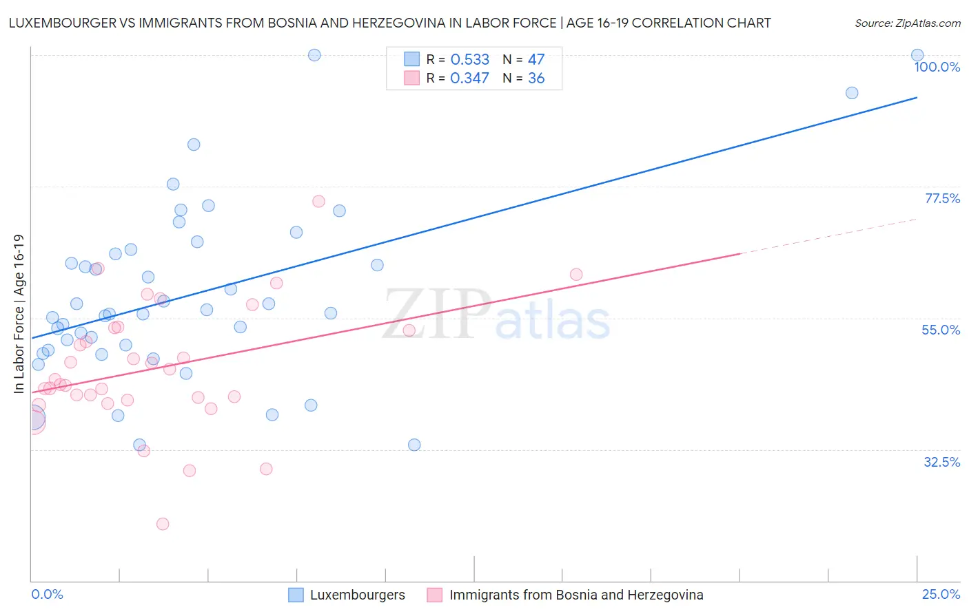 Luxembourger vs Immigrants from Bosnia and Herzegovina In Labor Force | Age 16-19