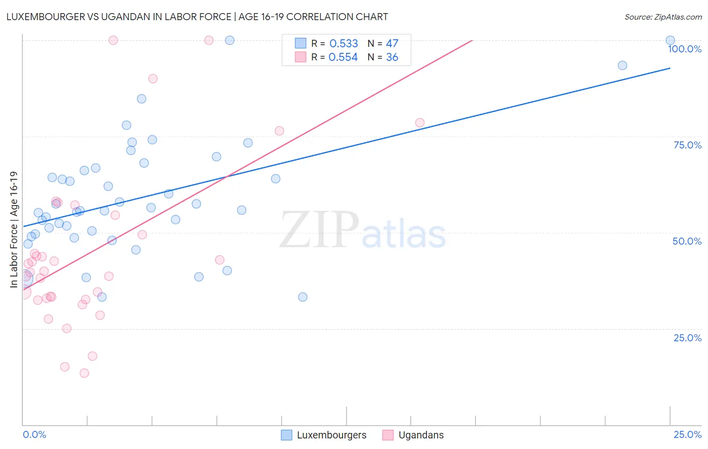 Luxembourger vs Ugandan In Labor Force | Age 16-19