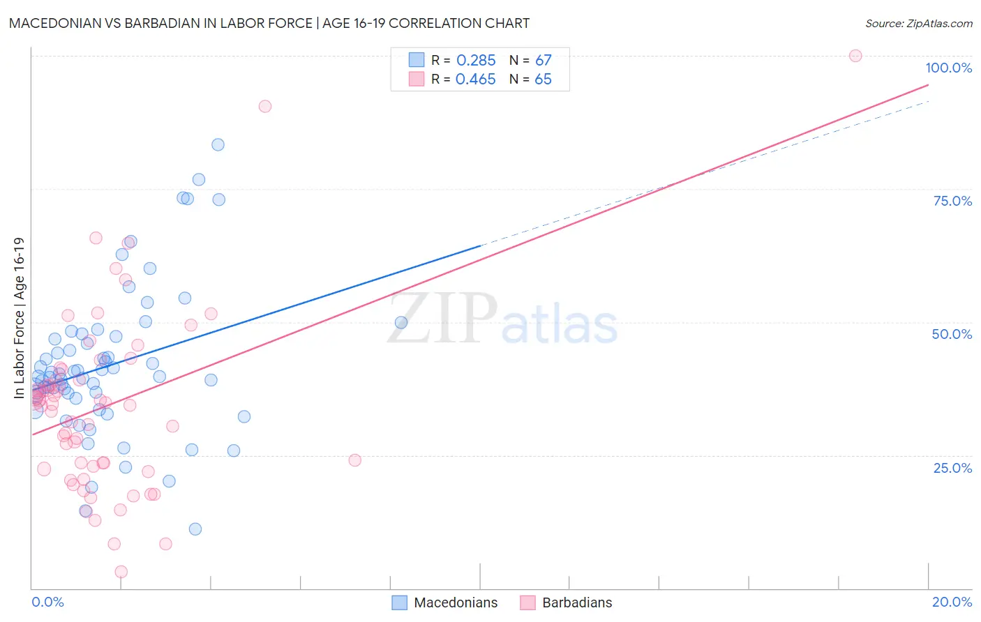 Macedonian vs Barbadian In Labor Force | Age 16-19