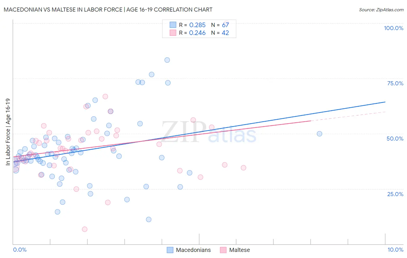 Macedonian vs Maltese In Labor Force | Age 16-19