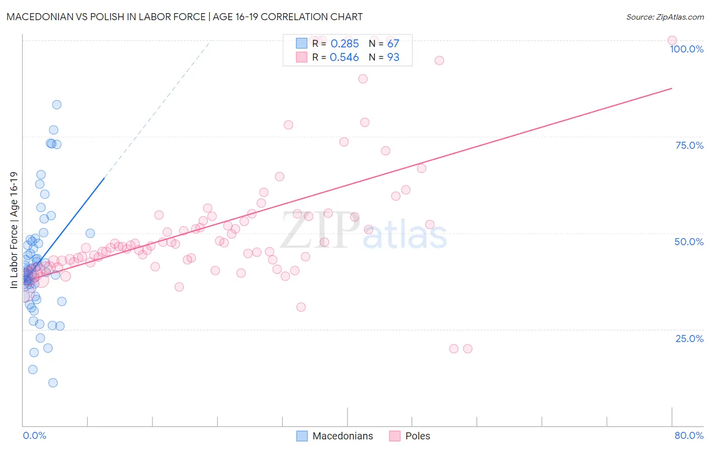 Macedonian vs Polish In Labor Force | Age 16-19