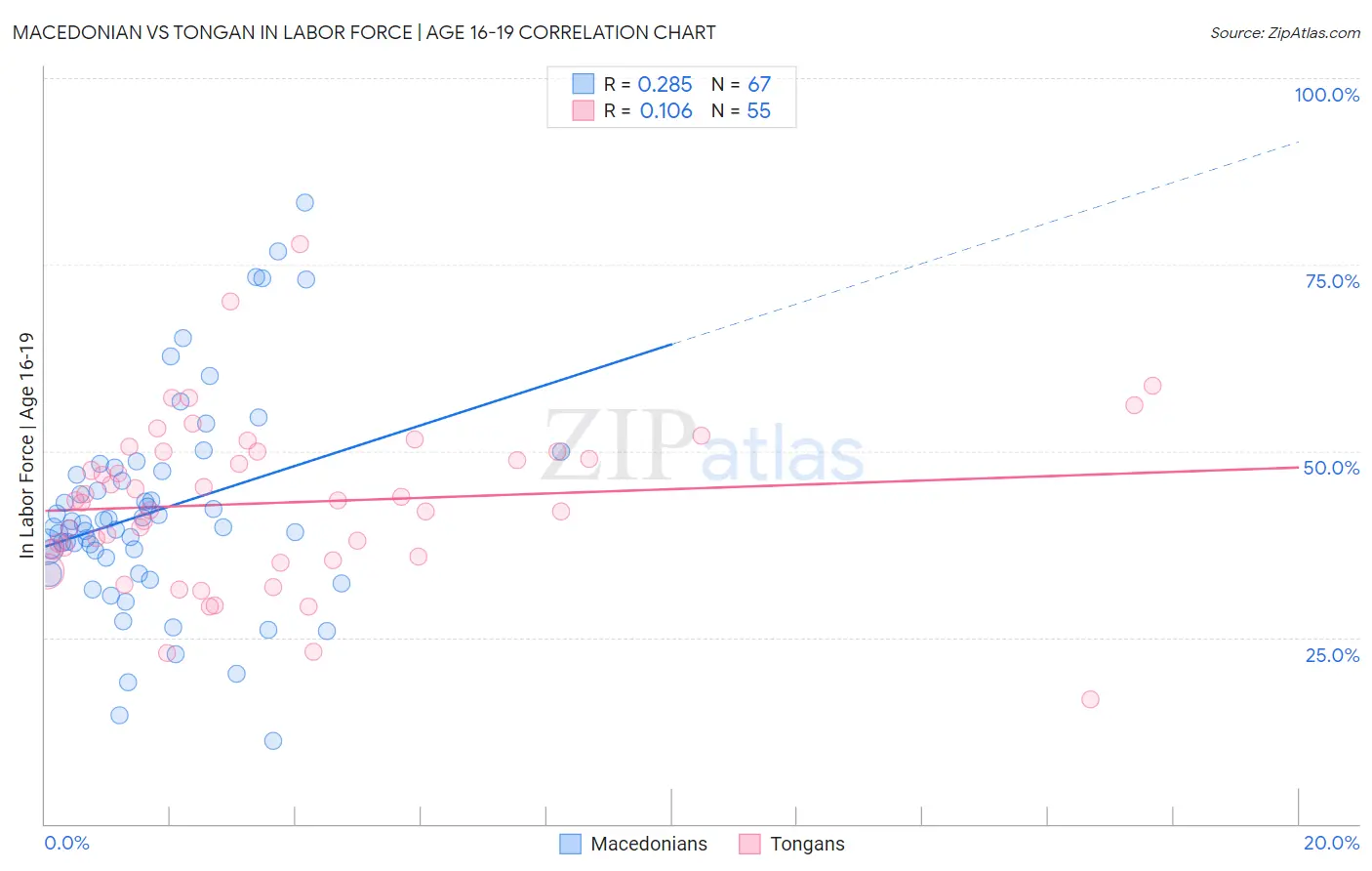 Macedonian vs Tongan In Labor Force | Age 16-19