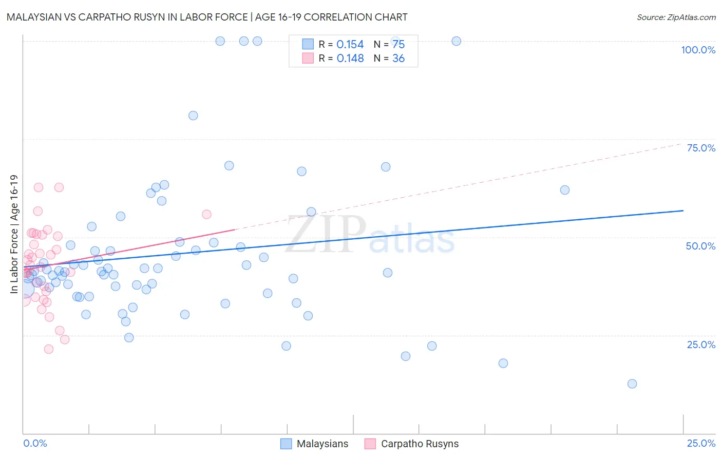 Malaysian vs Carpatho Rusyn In Labor Force | Age 16-19