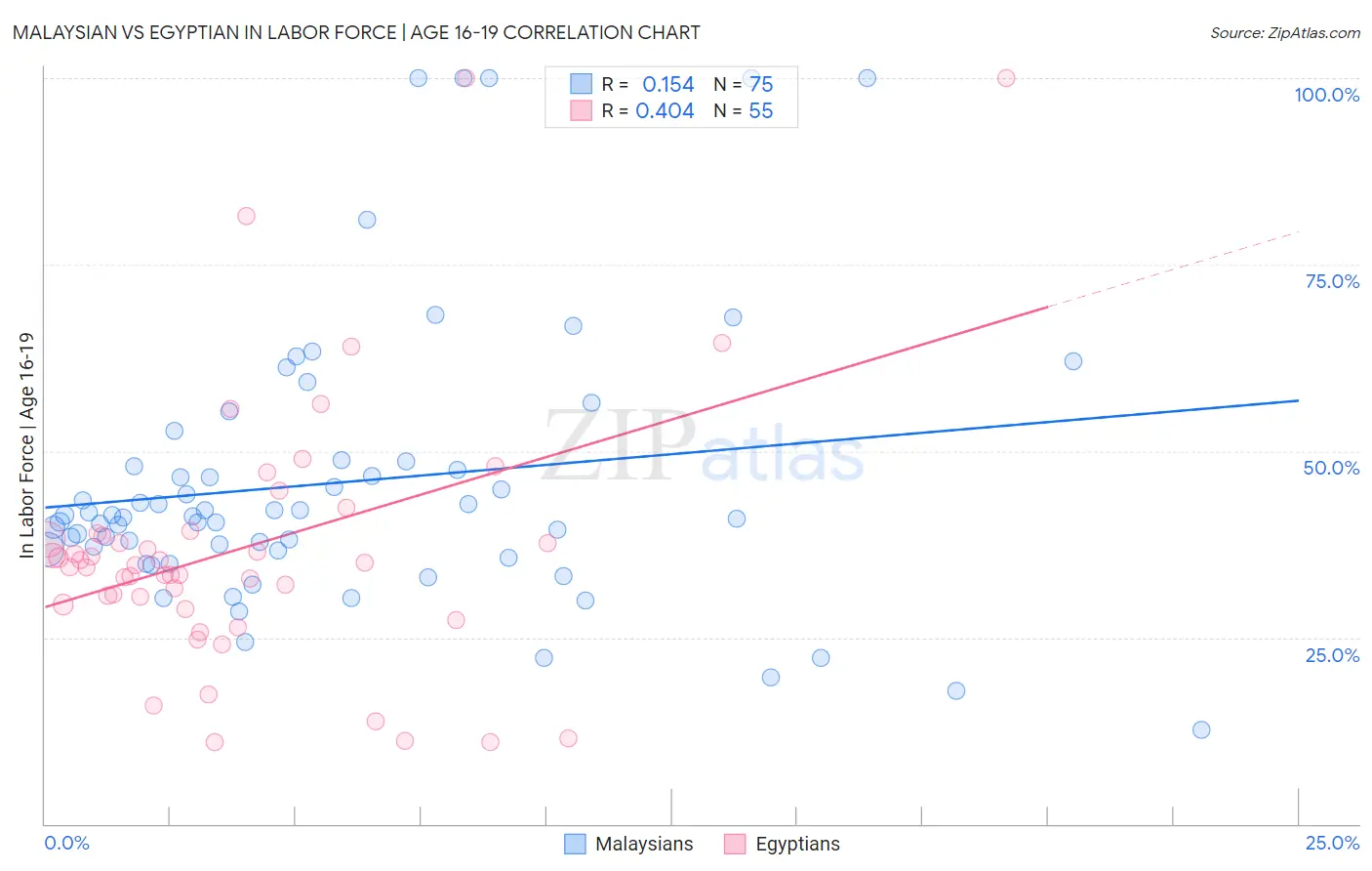 Malaysian vs Egyptian In Labor Force | Age 16-19